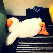 ソイラテ★プロフ必読