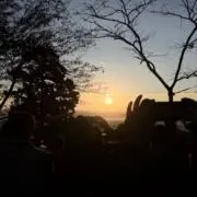 thvの画像