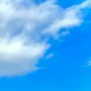 W☆まとめ買い◎の画像