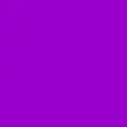 Purple@まとめ買い割引検討可◎の画像