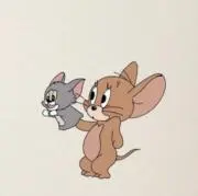 まちゃの画像