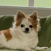 らら