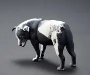 ボブ
