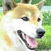 ☆の画像