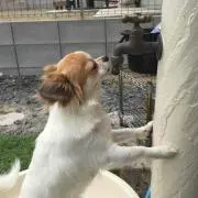 ともとも