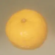 ささきの画像