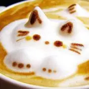 みーたん★