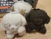 のんの画像