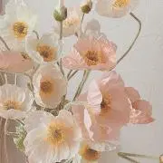 ぱるの画像