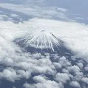 ひろの画像