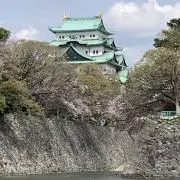 なおきんぐの画像