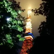 magnoliaの画像