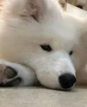 77の画像