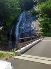 さとやんの画像