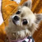 RIRI♡の画像