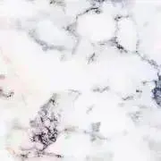 ⚜星奈⚜の画像