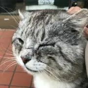 レコルト