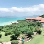 ミルキーの画像
