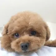 R'sママの画像