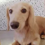 なありん