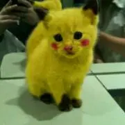 りんの画像