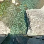 ととのい〜