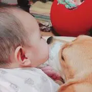 お値下げします^^！ しおかの画像
