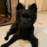 尊ちゃんの画像