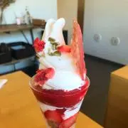 ポンジの画像
