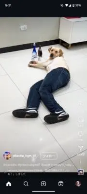 まぅまぅまぅの画像