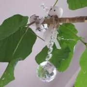 SATSUHIの画像