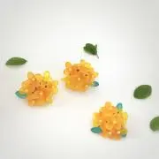 *risarisa25*の画像