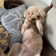 Hiroの画像