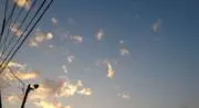 ひーまーの画像