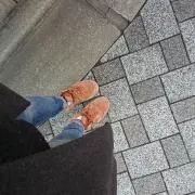 きのこの画像