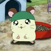 RIIIN♪の画像