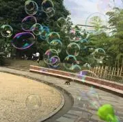 さらさ
