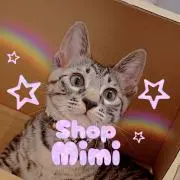 猫のかぎしっぽの画像