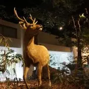 ぱる