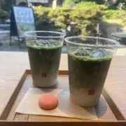 さくらこ/説明文必読の画像