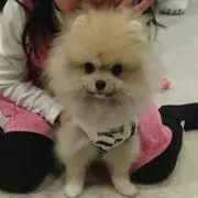 みかんかん♪