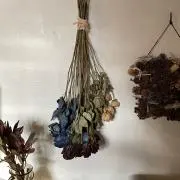 yuの画像
