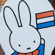 たたった　断捨離中！の画像