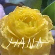 はな【プロフィール必読】の画像