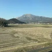 すーの画像