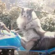 まさ