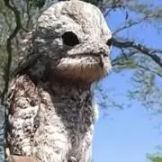 ゆーりの画像