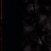 おにぎりー
