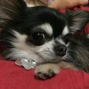 ありさ