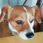 Emikoの画像
